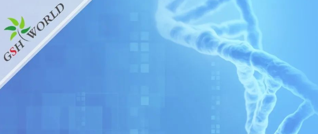 行业关注 - 风靡美国的辅酶Q10到底要不要吃？吃多少合适？