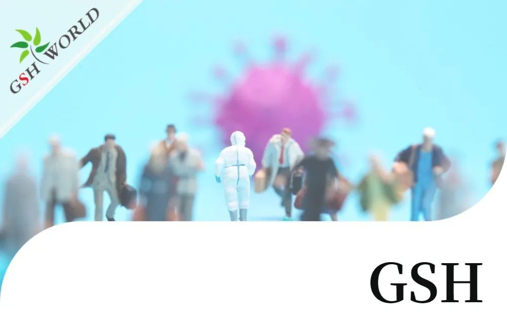 行业关注 - 增强 GSH 可能是对抗新冠疾病的有效疗法