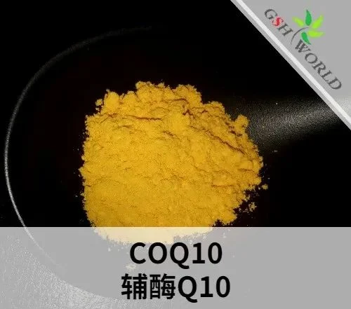 辅酶Q10原料的概述和应用