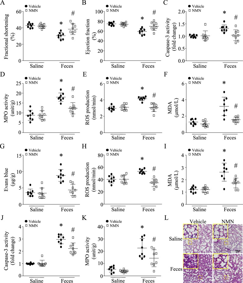 包含图片、插图等的外部文件。
对象名称为 12967_2023_4767_Fig2_HTML.jpg