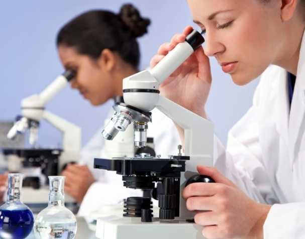 SAMe可用于治疗ADHD吗？