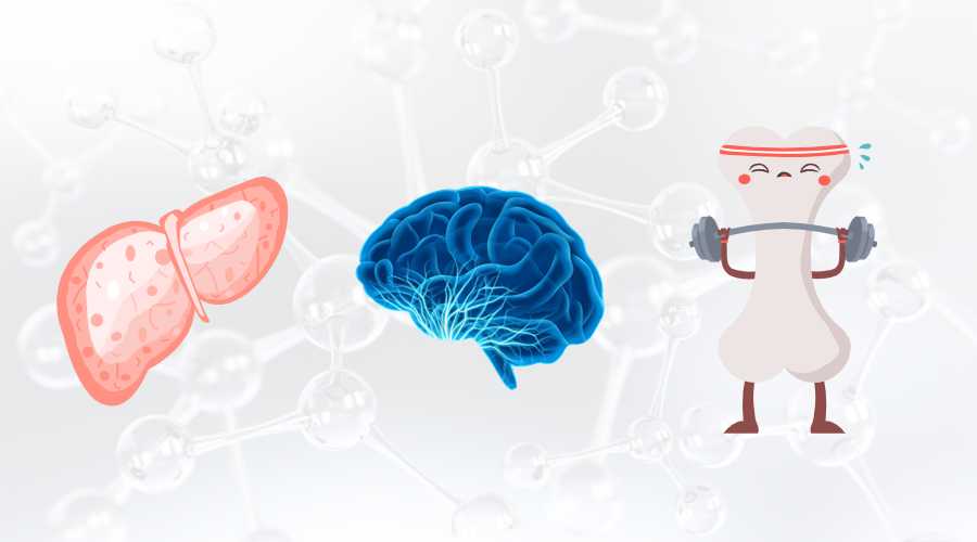 SAM-e 对身体有什么作用？