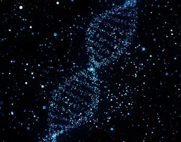 烟酰胺核糖氯化物有什么优势？