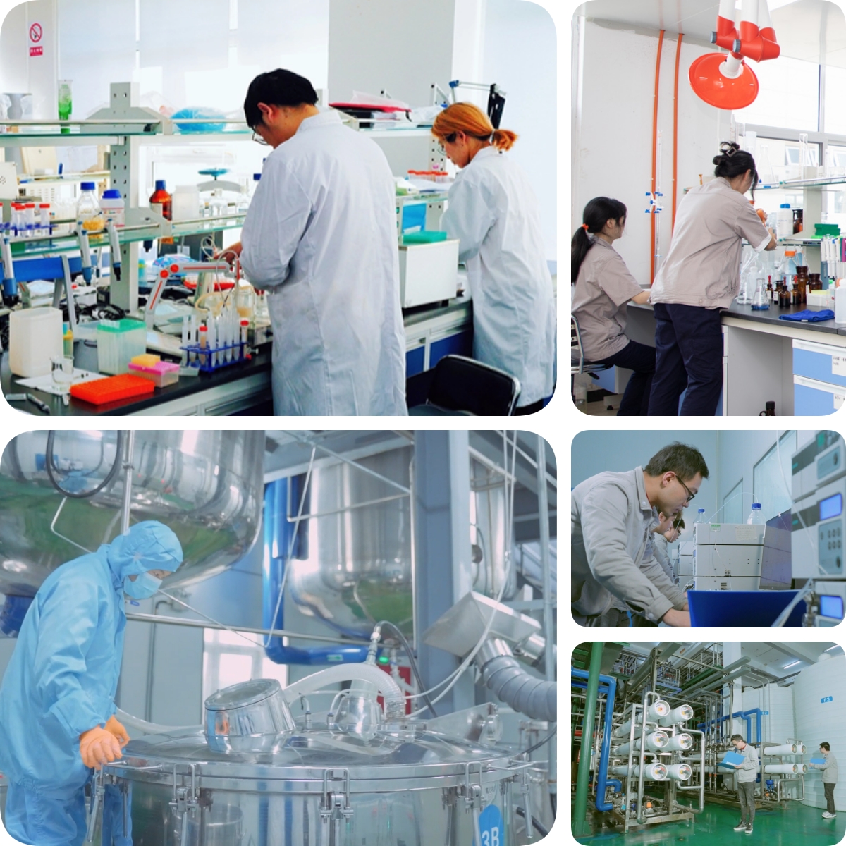 谷胱甘肽是怎么生产的？