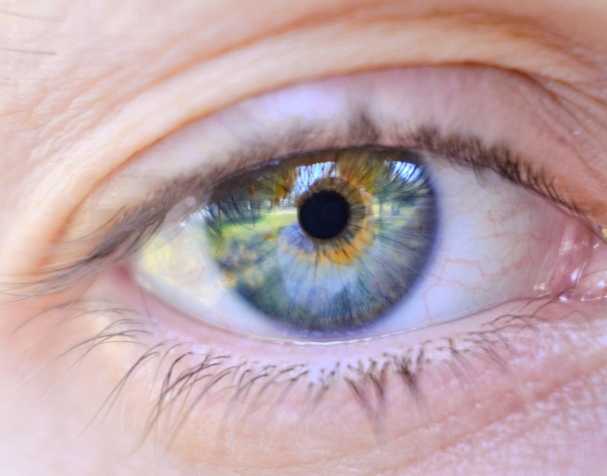 胞磷胆碱的作用机制