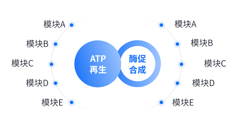 酶法生产应用领域