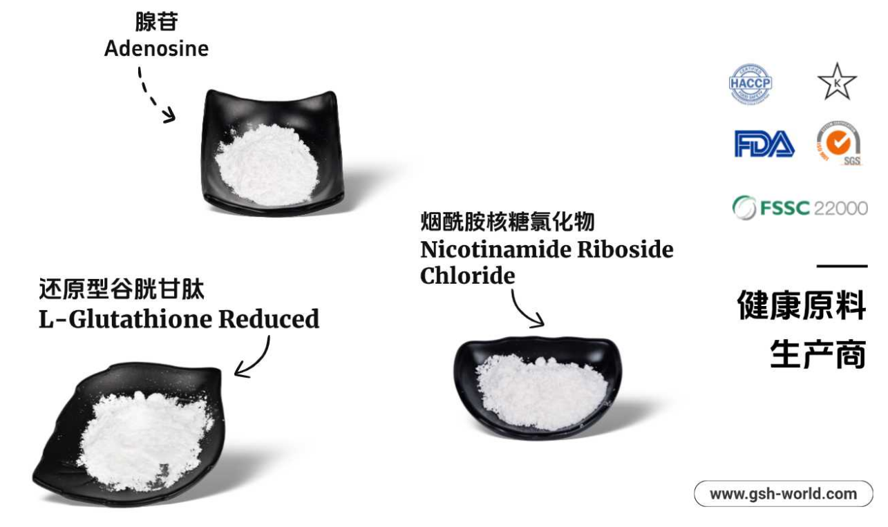 有哪些原料被广泛应用？