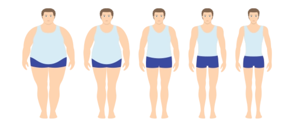 抗氧化补充剂通过多重机制影响脂肪组织