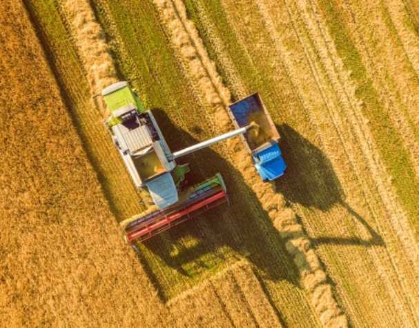 谷胱甘肽在多种非生物胁迫中的作用