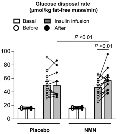 NMN 组（n=13）和安慰剂组（n=12）对胰岛素刺激的葡萄糖处置率的影响