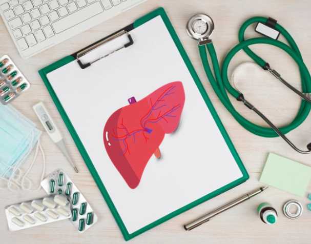 科学机理：肝内自带的解毒+抗氧化双引擎