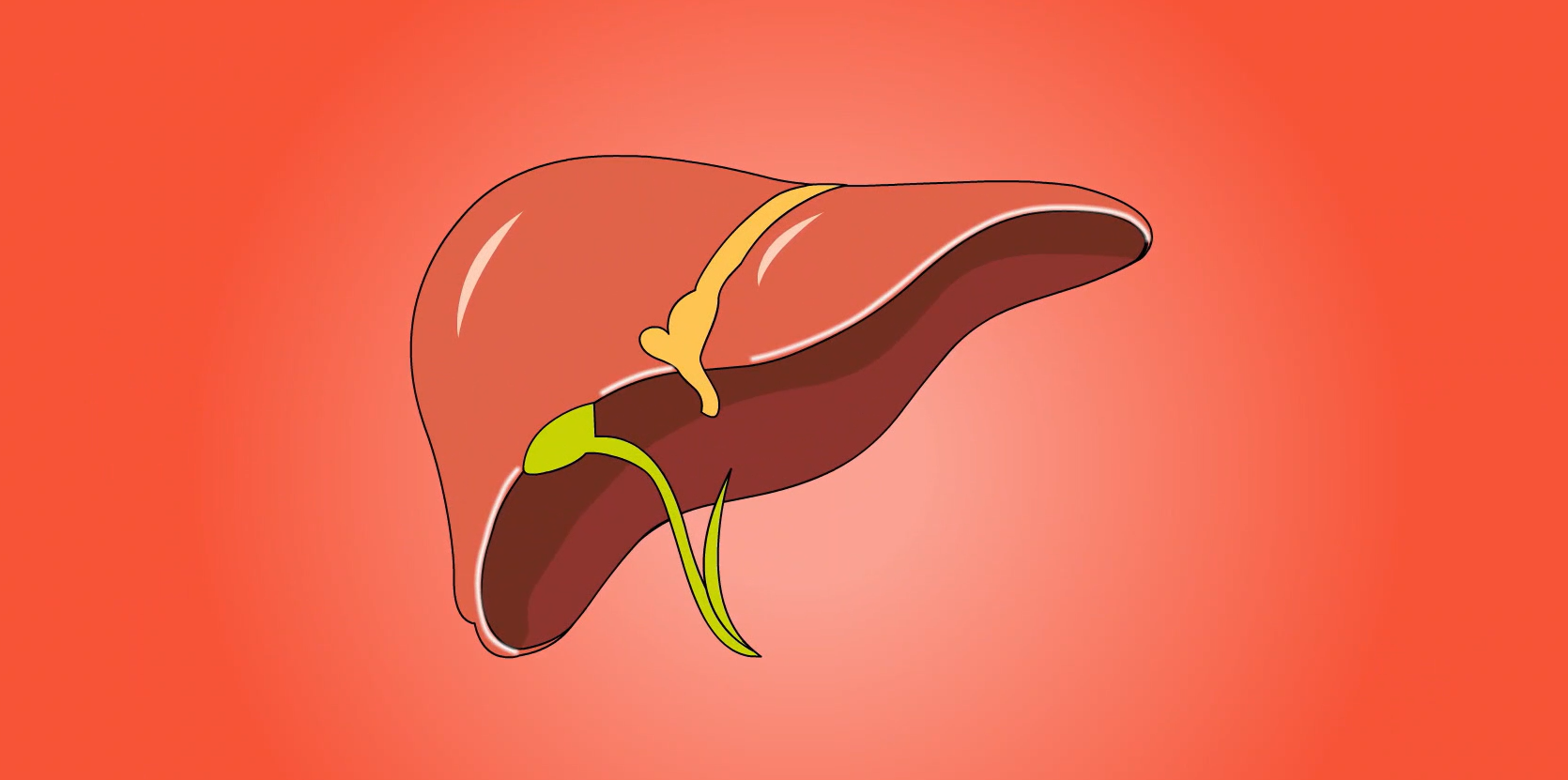 精准人群：4类肝高危群体的专属守护方案