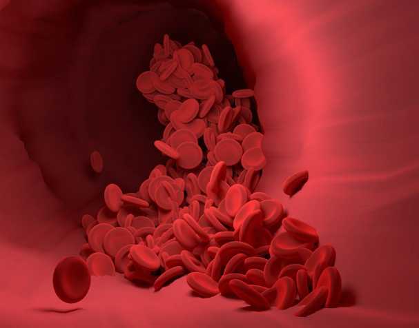 代谢吸收更具优势