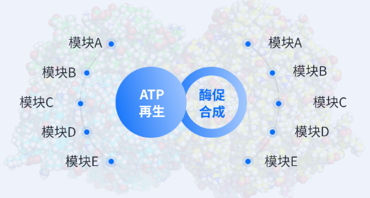 核心技术原理：突破酶促反应能量瓶颈