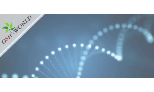 行业关注 - 胞磷胆碱?；ご竽缘?大好处