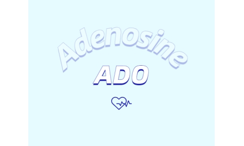 腺苷能促进睡眠吗？