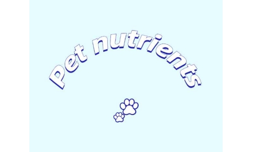 三种具有潜力的宠物营养素——PQQ、辅酶Q10以及S-腺苷甲硫氨酸