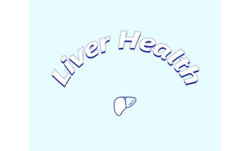 哪些原料可助力肝脏健康？