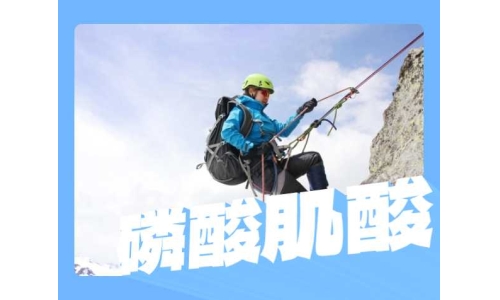 磷酸肌酸粉末有什么用途？